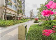 英郡年华花园（三期）-环境绿化