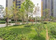 英郡年华花园（三期）-环境绿化