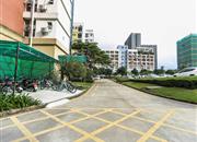启兴生活区（八克拉）-环境绿化