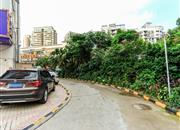 百合星城（一期）-环境绿化