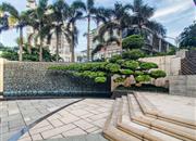 蓝郡广场-环境绿化