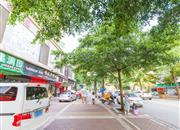 金宝花园-环境绿化