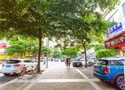 金宝花园-环境绿化