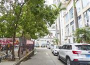 鹏盛年华-环境绿化