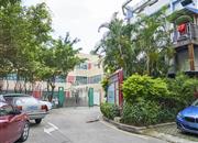 鹏盛年华-环境绿化