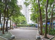 鹏盛年华-环境绿化