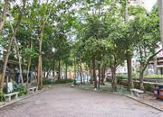 鹏盛年华-环境绿化