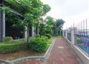 阳基新天地家园-环境绿化