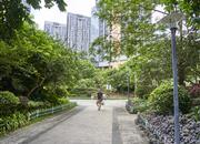 潜龙曼海宁（北区）-环境绿化