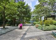 潜龙曼海宁（北区）-环境绿化