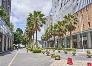 潜龙曼海宁（北区）-环境绿化