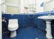 桐景花园-卫生间