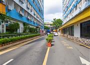 赛格工业区-环境绿化