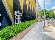 城建综合楼-环境绿化