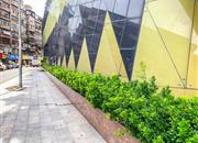 城建综合楼-环境绿化