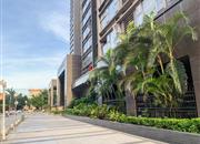 深港一号-环境绿化