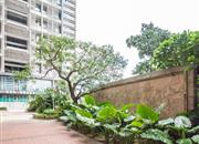 深港一号-环境绿化