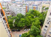 鸿景春天花园（三期）-俯瞰图