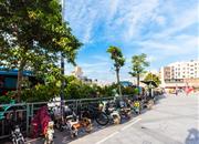 佳华领汇广场二期-环境绿化