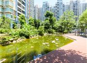 俊峰丽舍花园-环境绿化