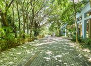 俊峰丽舍花园-环境绿化