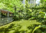 俊峰丽舍花园-环境绿化