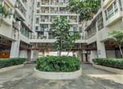 都市翠海华苑-环境绿化