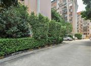 碧涛居-环境绿化
