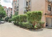 碧涛居-环境绿化