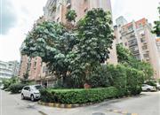 碧涛居-环境绿化