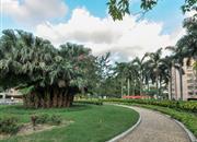 建安新村-环境绿化