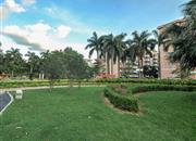 建安新村-环境绿化