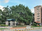 建安新村-环境绿化