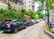 东湖丽苑-环境绿化