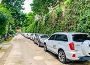 东湖丽苑-环境绿化