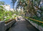 佛山街-环境绿化