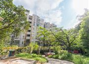 佛山街-环境绿化