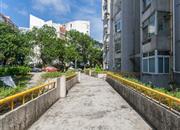 佛山街-环境绿化