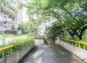 佛山街-环境绿化