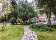 新龙岗花园-环境绿化