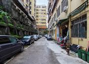 茂宝大厦-环境绿化