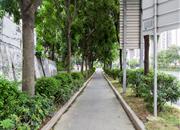 茂宝大厦-环境绿化