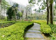 润城花园-环境绿化