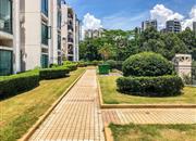 滨福世纪广场-环境绿化