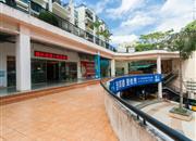 滨福世纪广场-环境绿化