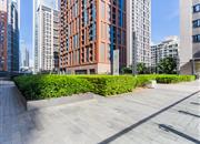 大冲新城花园-环境绿化