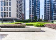 大冲新城花园-环境绿化