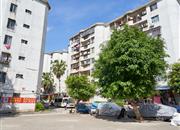 金侨花园-环境绿化