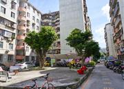 金侨花园-环境绿化