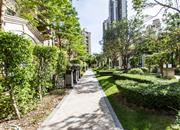 美地里园-环境绿化